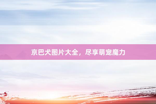 京巴犬图片大全，尽享萌宠魔力